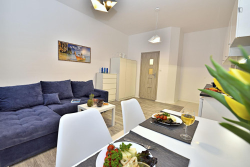 Comfortable studio in Old Polesie