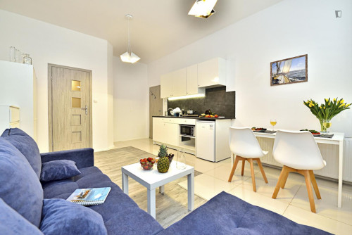 Comfortable studio in Old Polesie