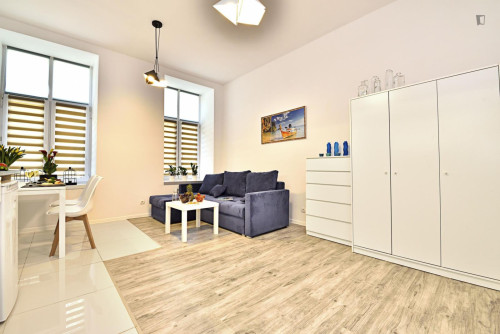 Comfortable studio in Old Polesie