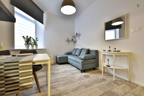 Lovely 1-bedroom apartment in Śródmieście