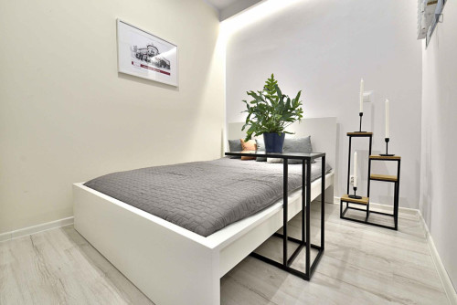 Lovely 1-bedroom apartment in Śródmieście