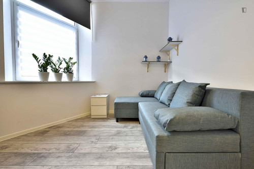 Lovely 1-bedroom apartment in Śródmieście - Gallery - 15