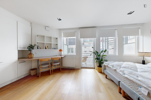 Bright little studio near Madou metro station