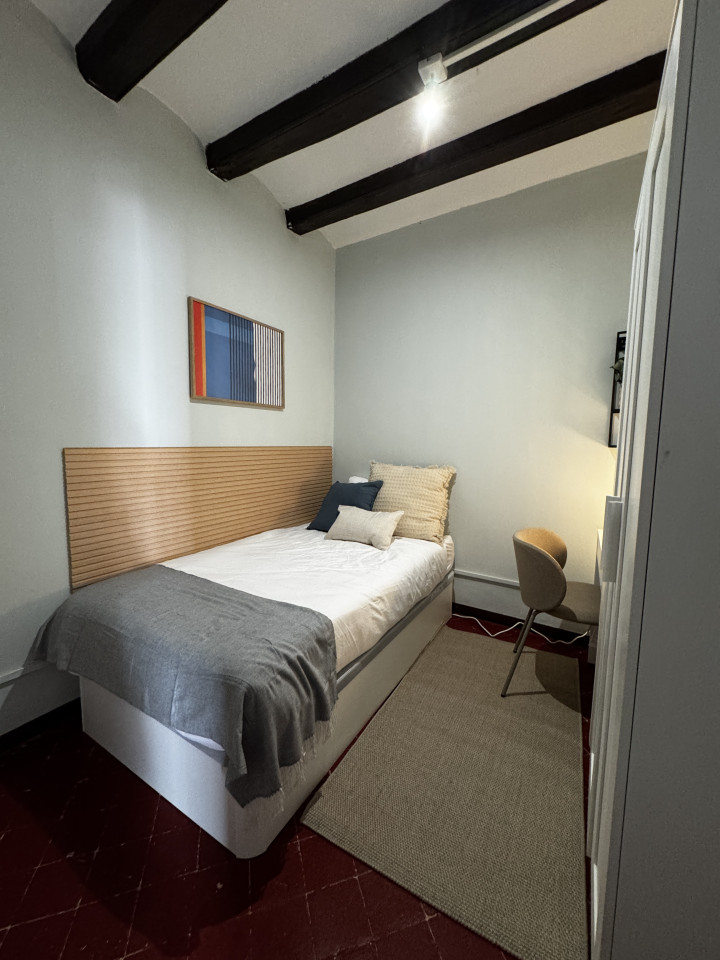  Room 3  -  Spacious Coliving Apartment in Dynamic Ciutat Vella, Steps from MACBA and Restaurants  - Gallery -  19