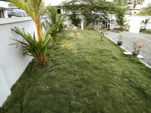 Cochin Cove Homestay