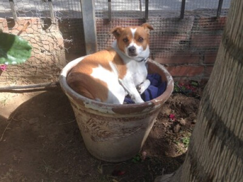 Downtown Napa 1 bdrm Master Suite