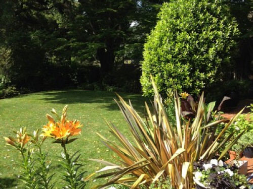 City Mouse/Country Mouse