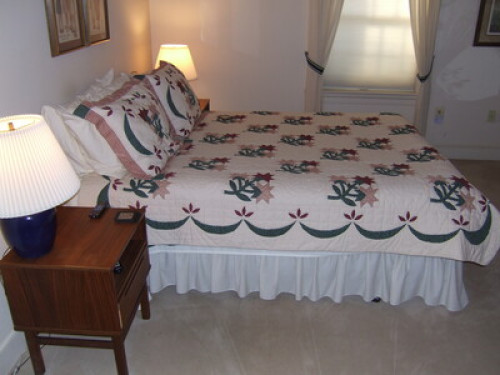 Suburban family in Northern Virgini