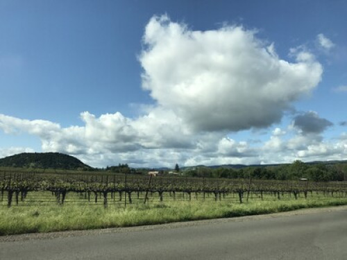 Beautiful Home Private Room 