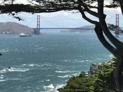 Beautiful Home Private Room   - Gallery -  5