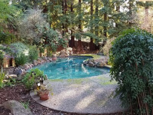 Large Furnished Bedrm/Private Bath