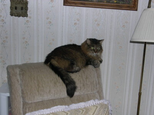 guess sweet-with breakfast