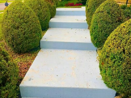 Blue Velvet Retreat  - Gallery - 7