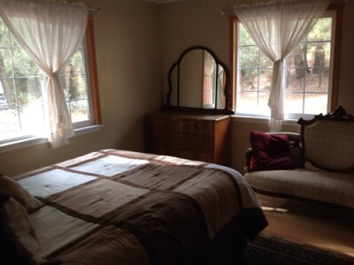 Zen Dog Retreat:  All DOGS welcome