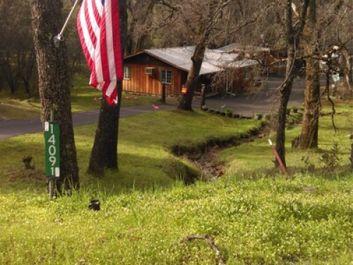 Zen Dog Retreat:  All DOGS welcome