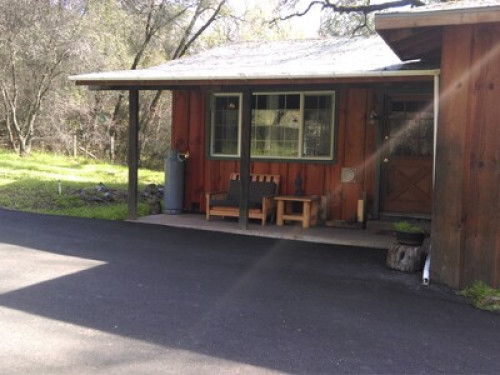 Zen Dog Retreat:  All DOGS welcome