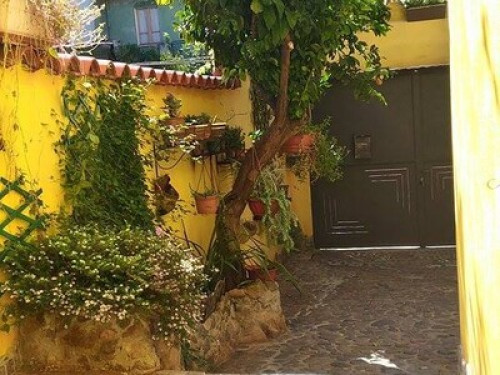 Cozy B & B with large terrace - Gallery - 15