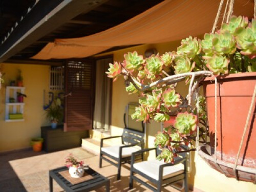 Cozy B & B with large terrace - Gallery - 16