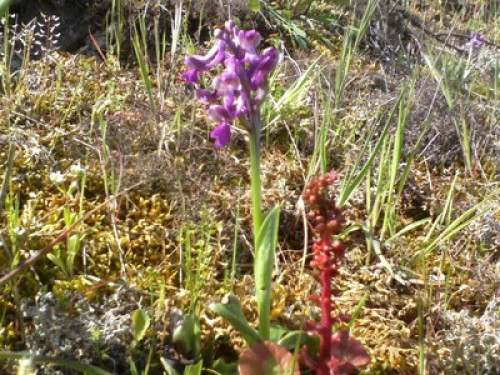 In mezzo alla natura.