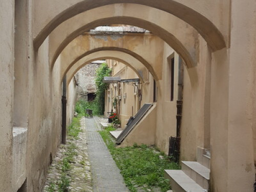 Skiers' Luxury Home in Brasov  - Gallery -  5