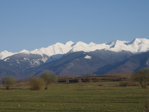 Transylvanian Guesthouse near Sibiu - Gallery - 19