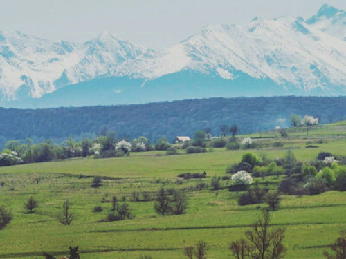 Transylvanian Guesthouse near Sibiu - Gallery - 17