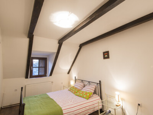 Transylvanian Guesthouse near Sibiu - Gallery - 11