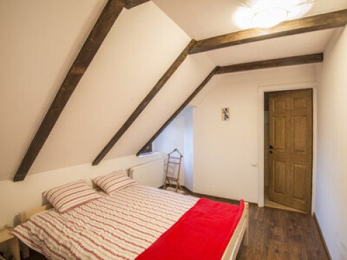 Transylvanian Guesthouse near Sibiu - Gallery - 10