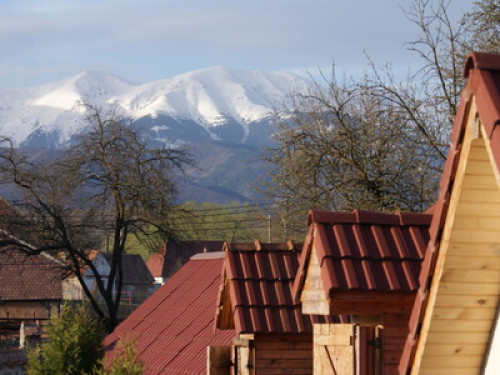 Transylvanian Guesthouse near Sibiu