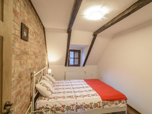 Transylvanian Guesthouse near Sibiu - Gallery - 12