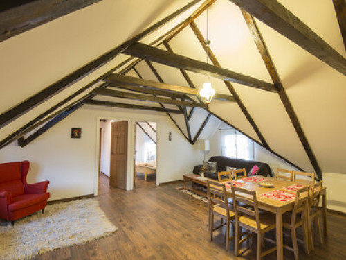 Transylvanian Guesthouse near Sibiu - Gallery - 9