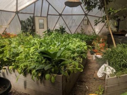 Healing ponds farm healing center  - Gallery - 17