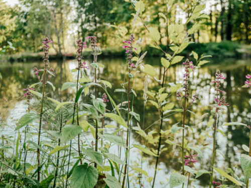 Healing ponds farm healing center  - Gallery - 13