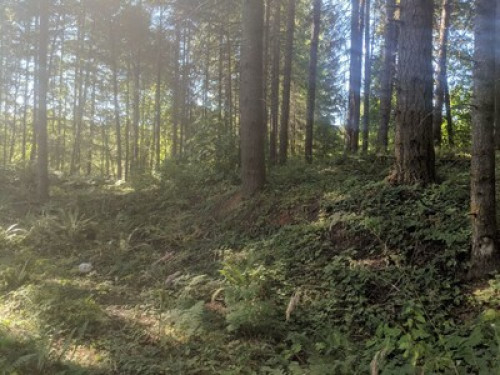 Healing ponds farm healing center