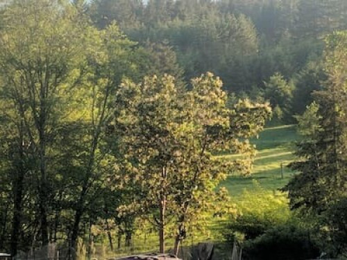 Healing ponds farm healing center 