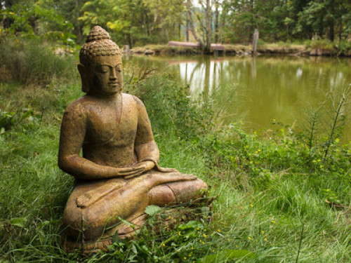 Healing ponds farm healing center  - Gallery - 18