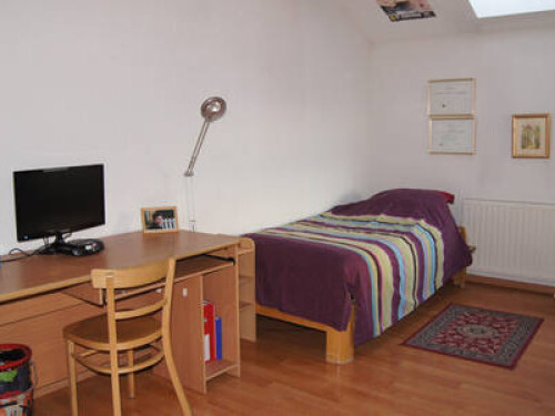 Genève friendly host