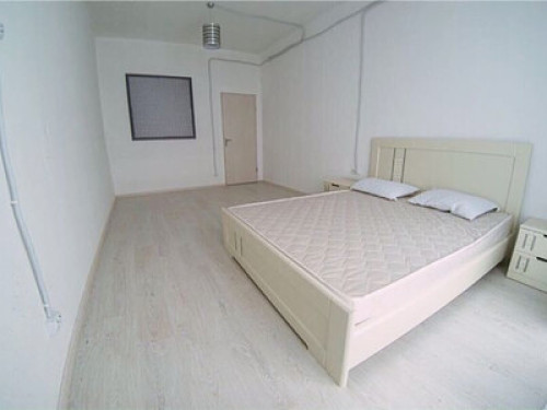 Spacious and Bright Room with Panor