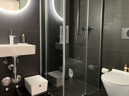 Central & Elegant in Biel