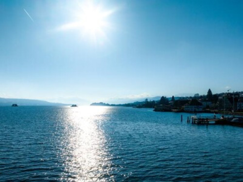 Between Lake Bergen and the city - Gallery - 7