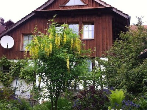Tranquil, cosy with alpine views