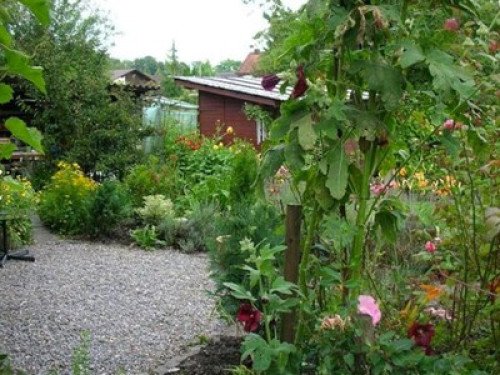 Tranquil, cosy with alpine views - Gallery - 13