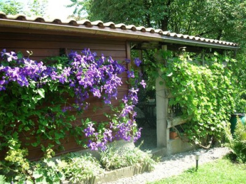 Tranquil, cosy with alpine views - Gallery - 17