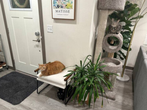 Central Tacoma Homestay