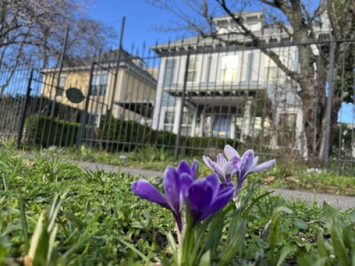 Bohemian oasis in historic home