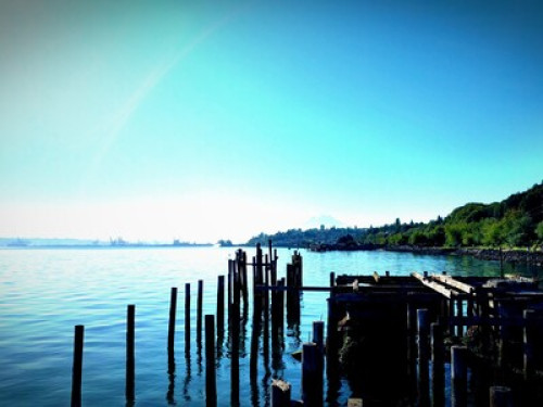 Fircrest Flat - Gallery - 9