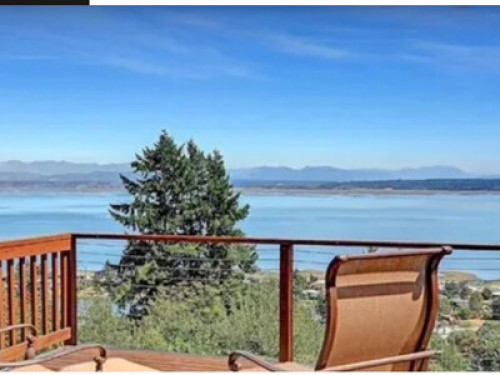 Whale watch and watch sunrise 