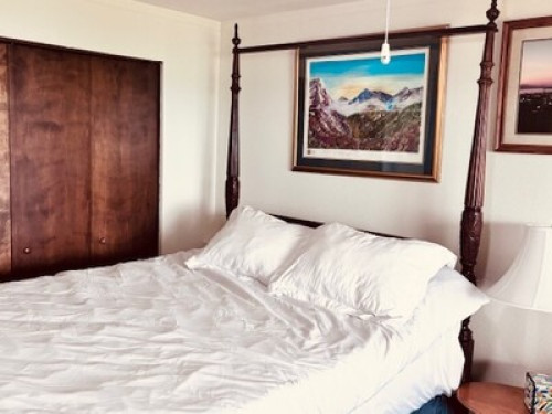 Whale watch and watch sunrise 