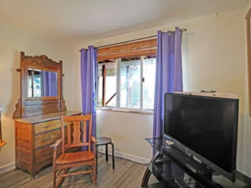 Whale watch and watch sunrise 