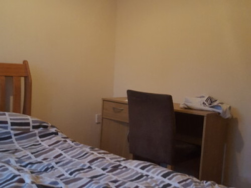 Nice single room in family house
